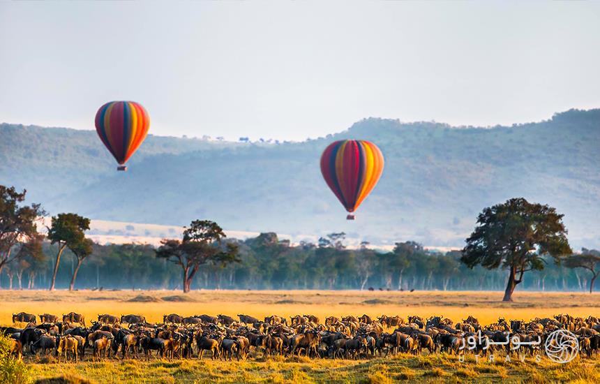 masai mara national balloon ride